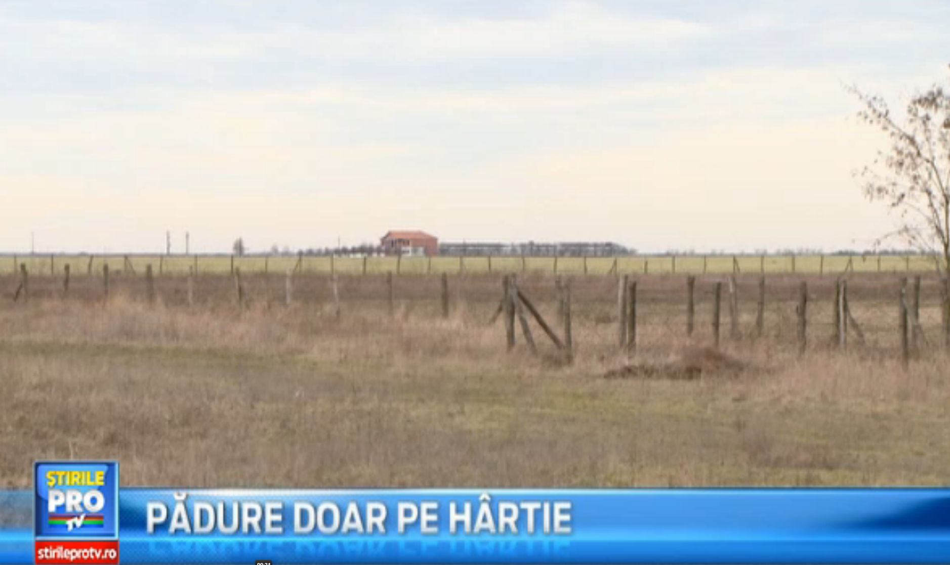 Angajatii Primariei Cenad, cercetati pentru abuz in serviciu, in cazul impaduririi unui teren, doar in acte