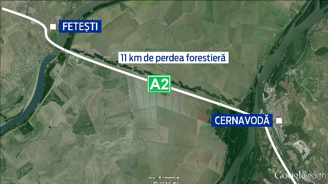 O picatura in ocean. Romania va planta 26 de hectare de perdele forestiere care vor proteja drumurile de viscol