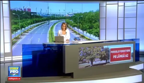 O picatura in ocean. Romania va planta 26 de hectare de perdele forestiere care vor proteja drumurile de viscol