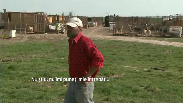 Voluntar la adapostul Glina