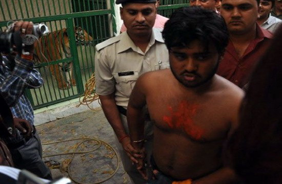 "Nu cred ca o sa mai vad asa ceva". Momente de groaza la o gradina zoologica din India. VIDEO