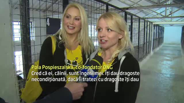 Cine sunt superbele K-9 Angeles, britanicele care au venit sa militeze pentru maidanezii din Romania