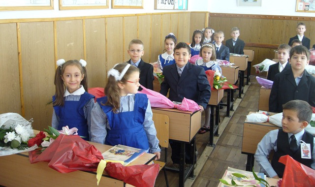 Sistemul respirator al pitigoiului si o problema de sah, in modelele de subiecte pentru evaluarea elevilor