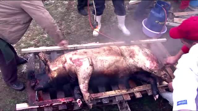 Un barbat de 41 de ani a murit, dupa ce o butelie i-a explodat in fata, in timp ce parlea un porc. Ce greseala a comis