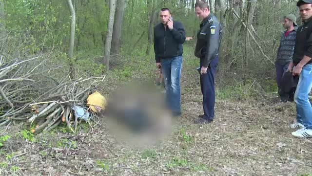 Accident mortal in Dambovita. Un barbat care s-ar fi aflat la furat de lemne a murit strivit de copacul taiat de ginerele sau