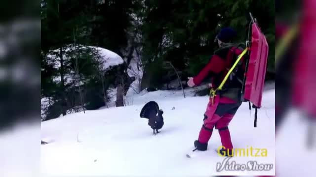 "Asa ceva vezi doar o data in viata". Intalnirea neasteptata pe care au avut-o niste salvamontisti din Busteni