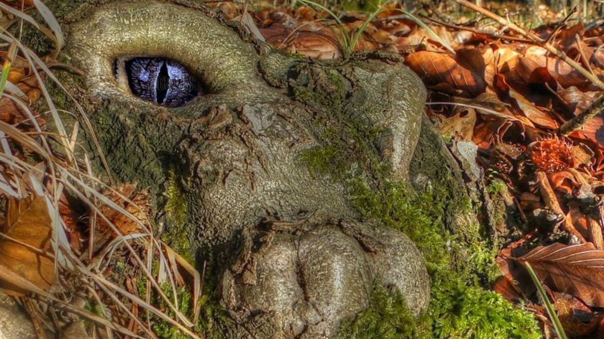 "Monstrul care ne-a mintit si ne-a luat totul". Raul cu care un roman a luptat o viata intreaga