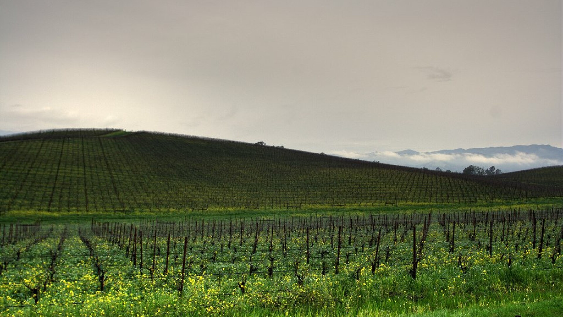 La 18 ani distanta: asa arata astazi imaginea simbol a Windows XP