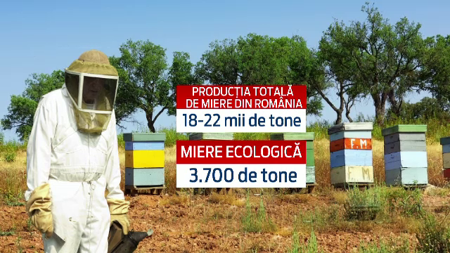 Doar 5% din mierea produsa in Romania este considerata ecologica. Motivul pentru care romanii o prefera pe cea naturala