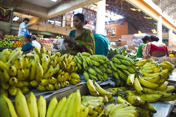"Apocalipsa bananelor". Productia de fructe, in pragul dezastrului din cauza unei boli pentru care nu e tratament