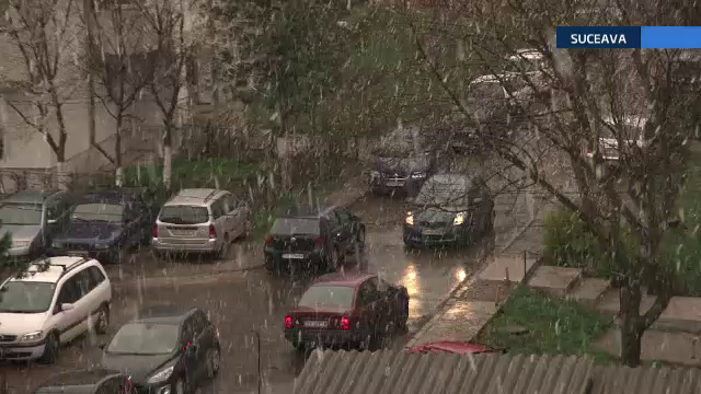 Vreme de iarna la inceput de aprilie. A nins in nordul tarii, iar in sud rafalele de vand au smuls copacii din pamant