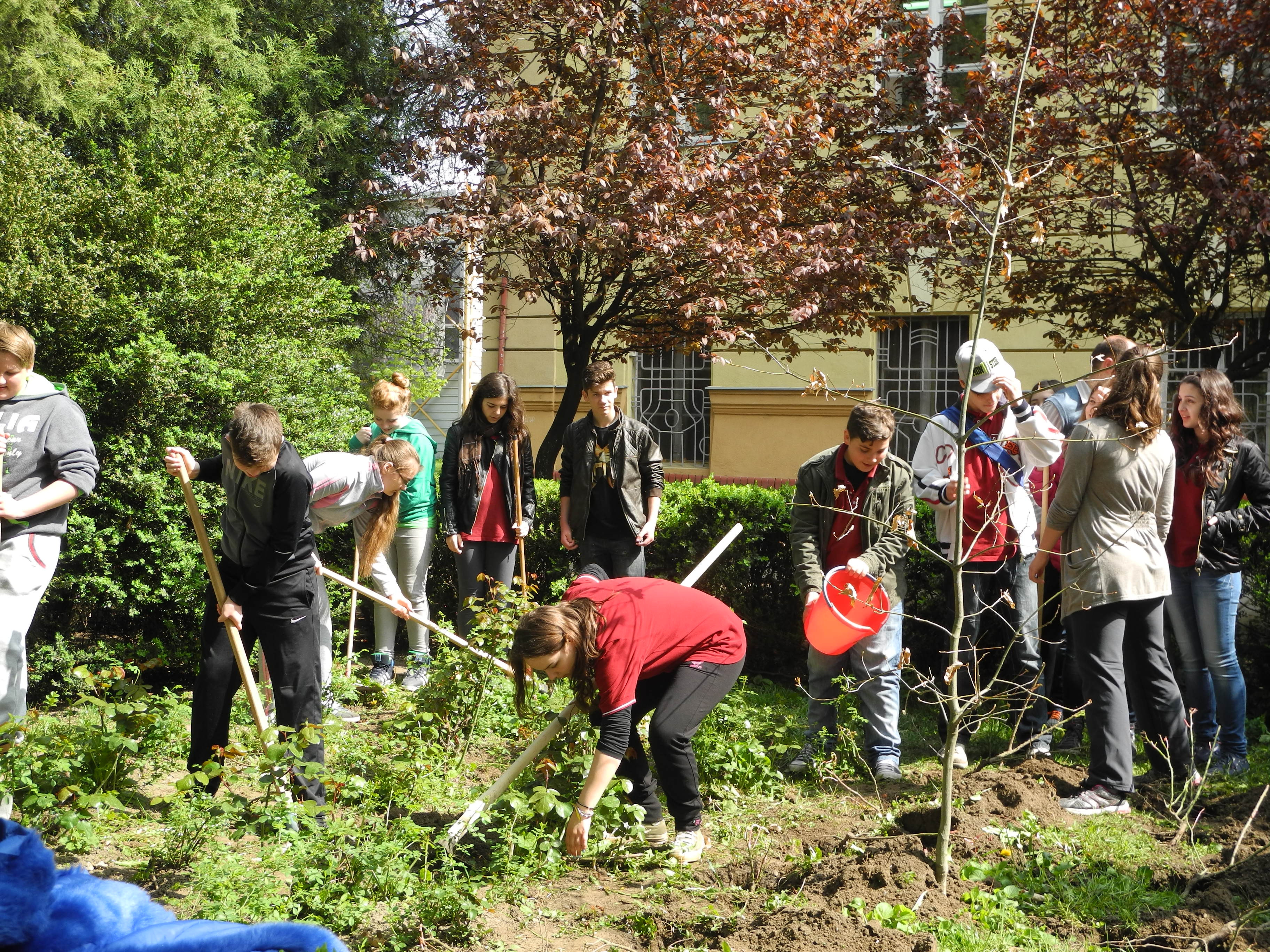 Pomi fructiferi in loc de plante ornamentale, in parcurile scolilor din Arad. Peste 800 de meri vor fi plantati