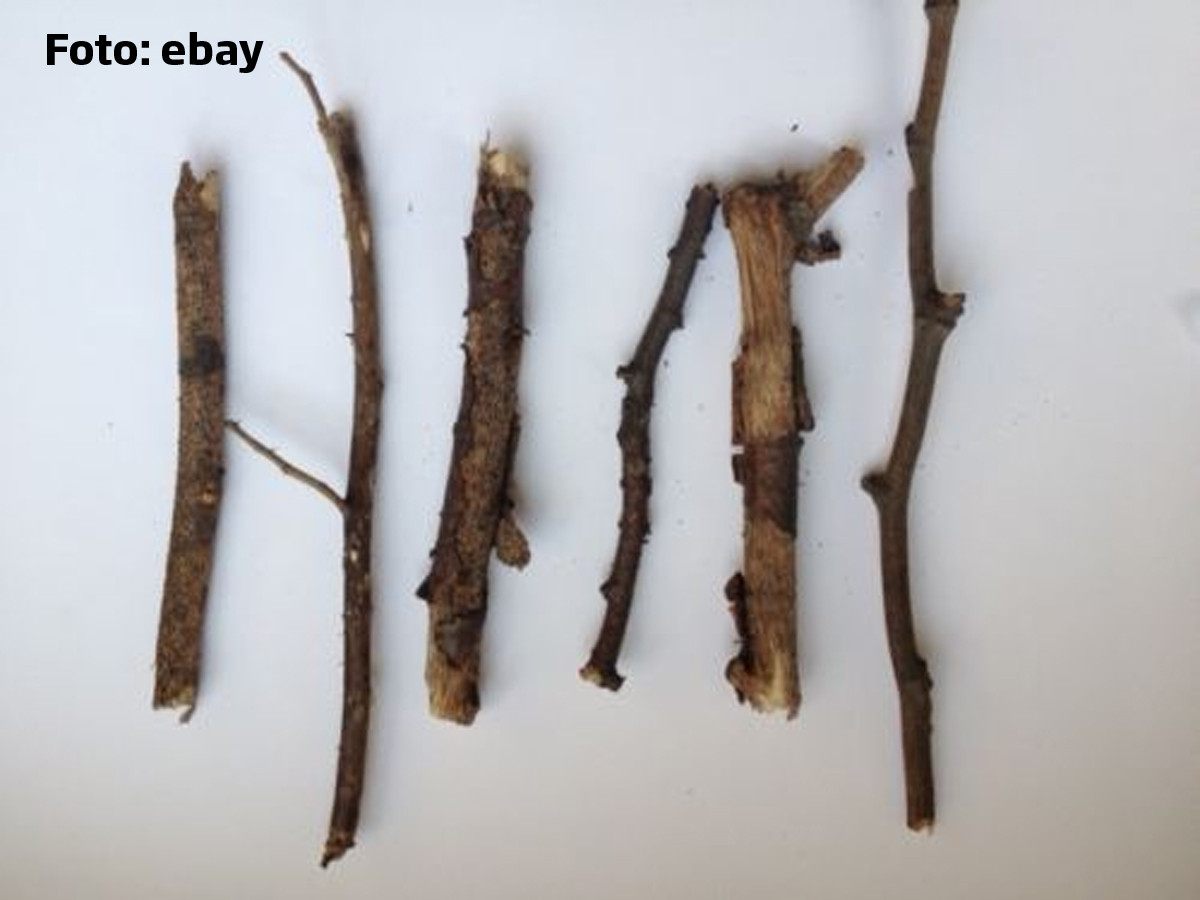 Sase bete s-au vandut pe net cu 62 de lire. Cum se justifica pretul: fiecare bat e unic, "la fel ca Spice Girls"