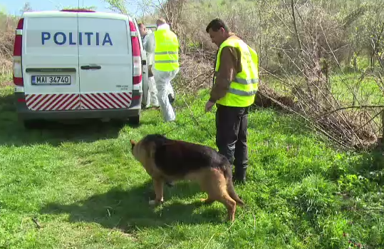 Doi barbati prinsi de politisti cu un semafor furat, pe bancheta din spate a masinii. Cum si-au motivat gestul