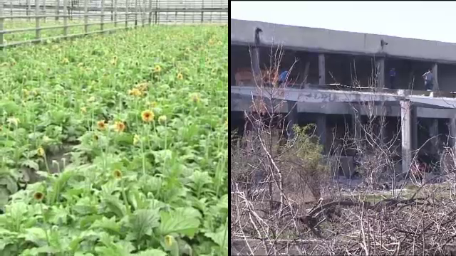 Serele Codlea, raiul hotilor de fier vechi. Cum arata locul de unde plecau la export milioane de tone de flori in '89