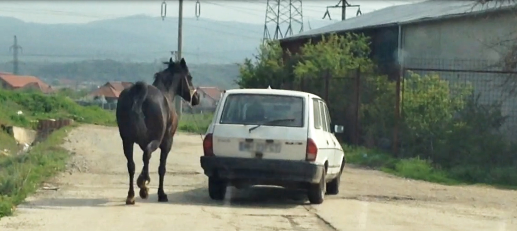 Cal legat cu lantul si tras dupa masina. Imagini primite de la un utilizator www.StirileProTV.ro