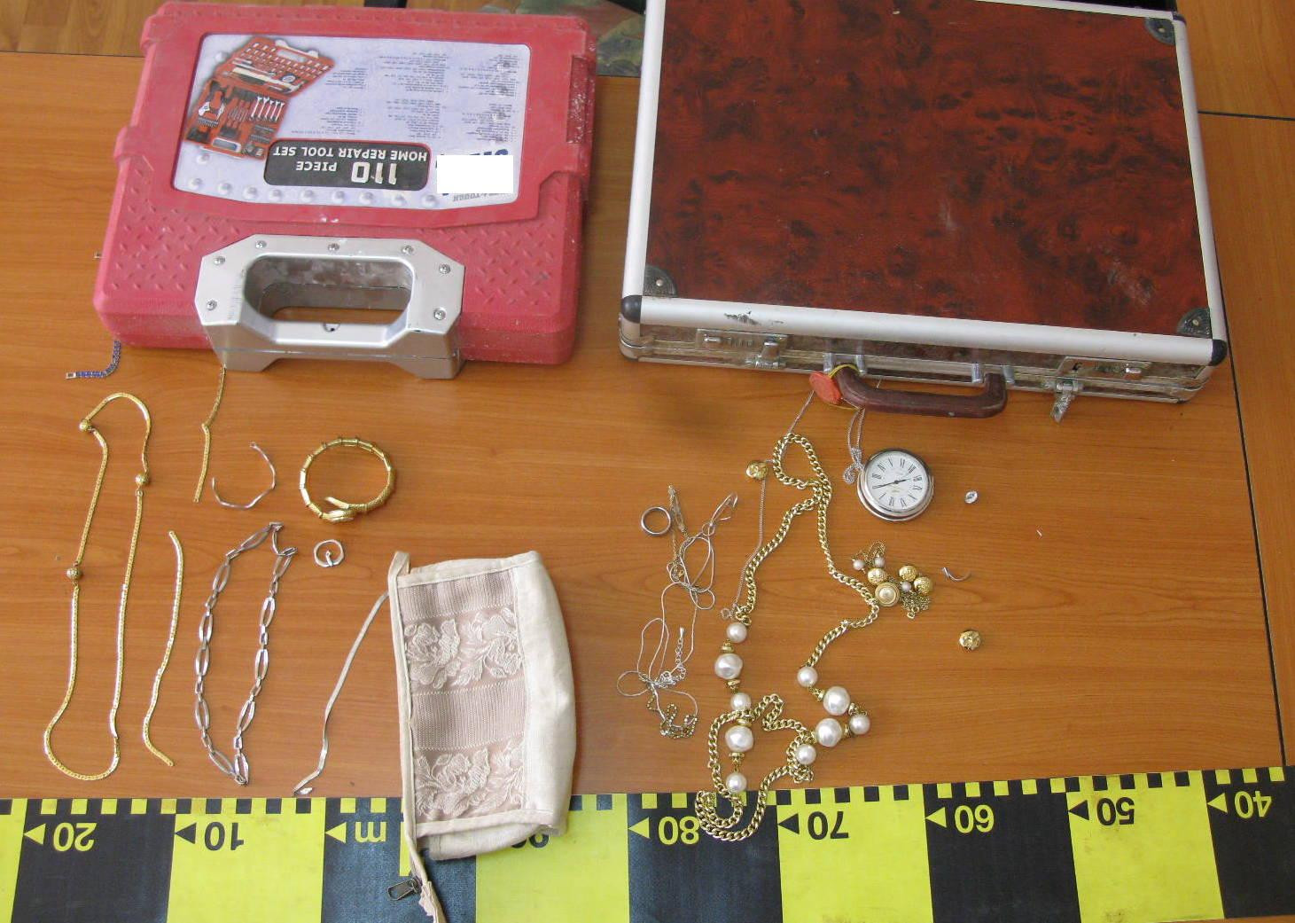 Perchezitii la o retea de hoti din locuinte, in Timis. Suspectii au produs un prejudiciu de 5.000 de lei