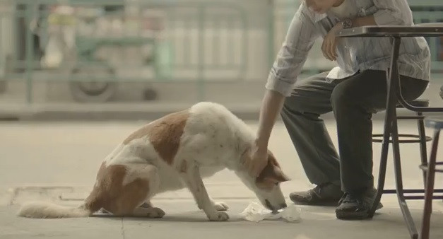 "Povestea acestui erou te face sa plangi si la serviciu". Clipul vizionat cu emotie de un milion de oameni pe zi. VIDEO