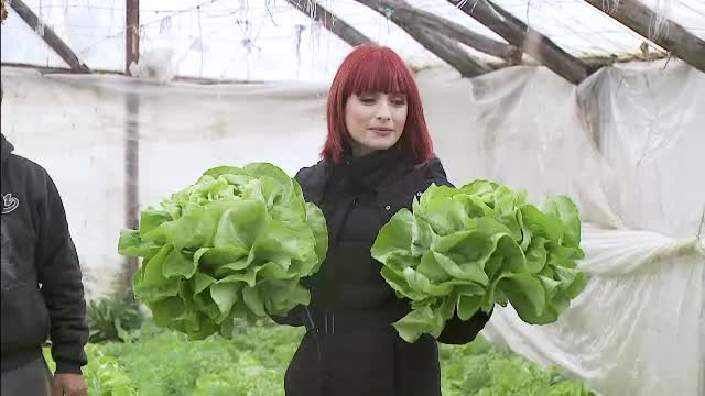 Tot mai multi romani isi fac cumparaturile de Paste din curtile taranilor, in dauna pietelor. Avantajele sunt foarte mari