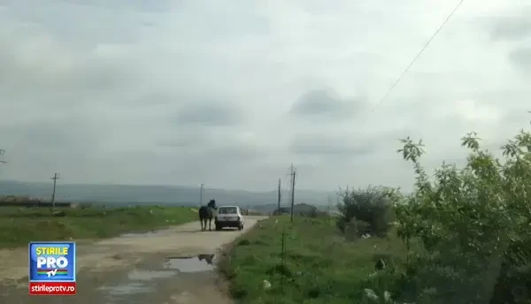 Cal legat cu lantul si tras dupa masina