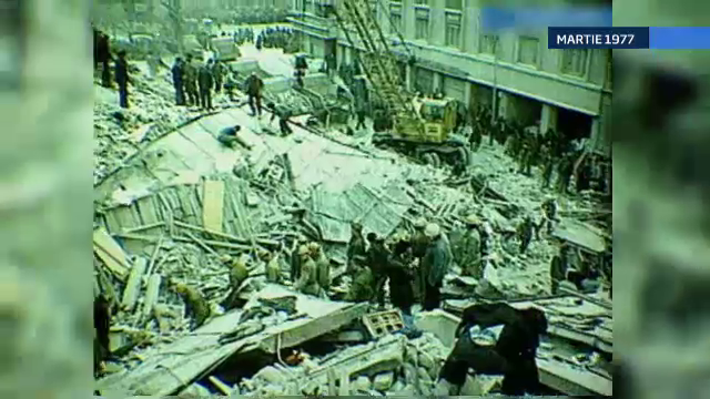 Cainii salvatori, solutia autoritatilor in cazul unui cutremur major. Specialistii estimeaza mii de victime