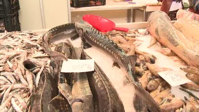 Dezlegarea la peste, prilej de pescuit pe baltile din jurul Capitalei. 7 din 10 romani tin macar o saptamana de post