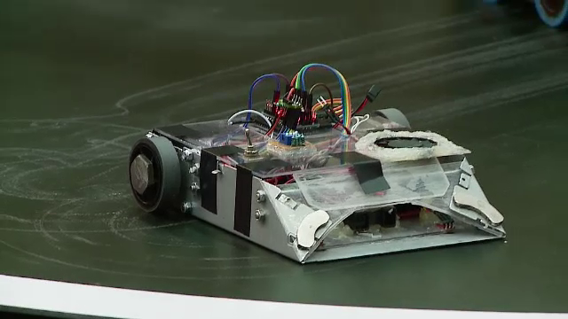 La Cluj, "Pufosenia" s-a batut cu "Lupul" si "Tortul". Cine a castigat, intr-o lupta a robotilor care au costat mii de euro