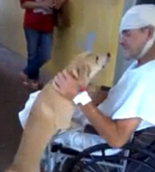 Reactie emotionanta. Un brazilian si-a revazut cainele, dupa ce a stat opt zile internat in spital