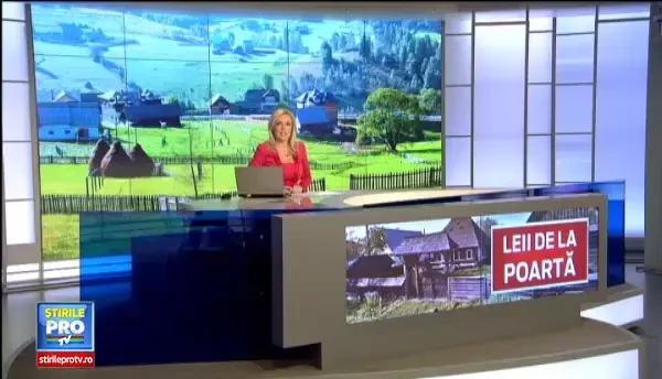 Faţa "moderna" a Bucovinei. Portile sculptate in lemn, inlocuite cu cele din fier forjat, cu ornamente din ipsos