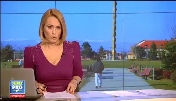 In orasul in care bustul lui Nicolaescu nu seamana cu regizorul, o statuie trebuie data jos pentru ca are sanii prea mari