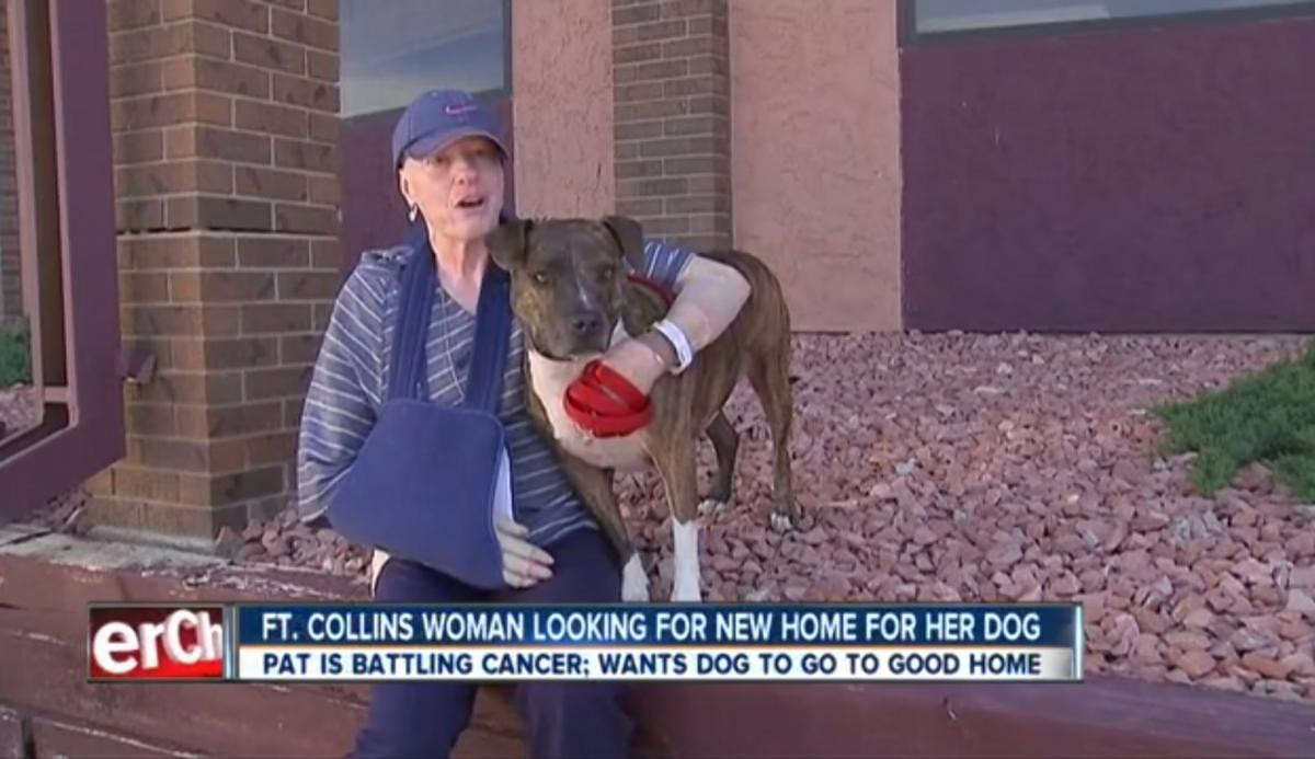 "Este dragostea vietii mele". O femeie bolnava de cancer in stadiu terminal cauta un camin nou pentru cainele ei