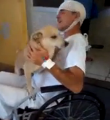 Si-a asteptat stapanul timp de 8 zile in fata spitalului. Povestea emotionanta a catelului Seco