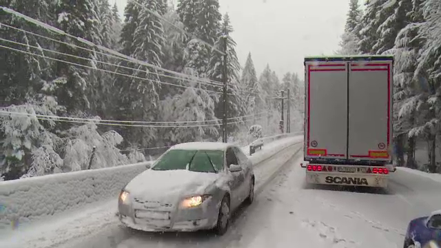 Cod galben de vreme rea in 7 judete din sud-vestul tarii. Ninsorile si ploile reci continua pana joi seara