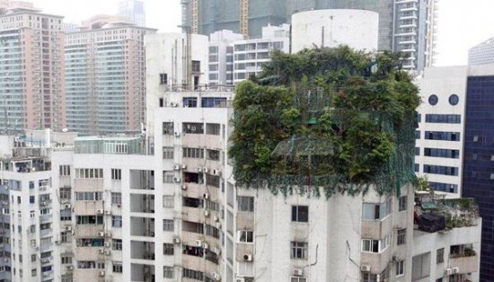 Un om de afaceri din China si-a construit o vila pe acoperisul unui bloc. Cum a incercat sa o ascunda