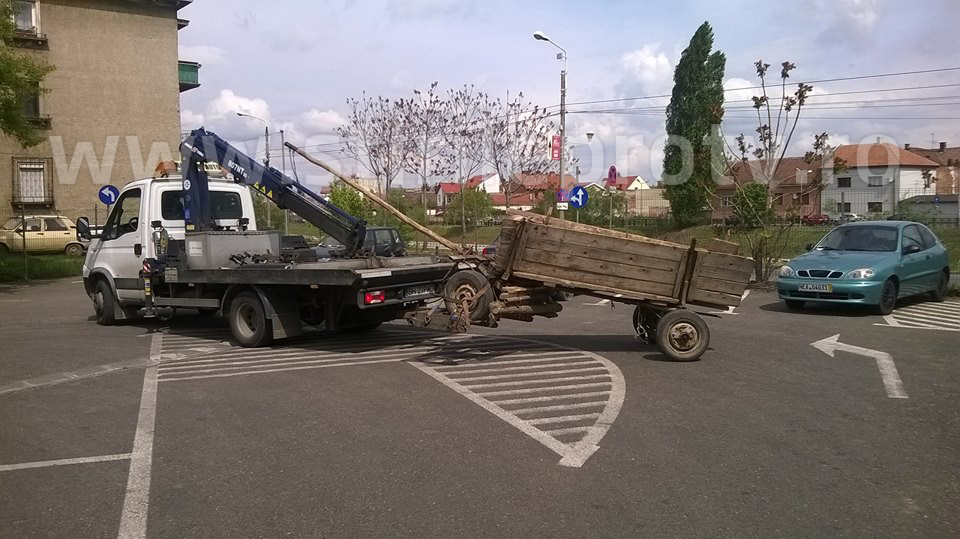 Ce patesti daca iti parchezi ilegal caruta. Primaria Oradea le-a facut o bucurie cailor