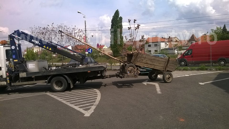 caruta tractata Oradea
