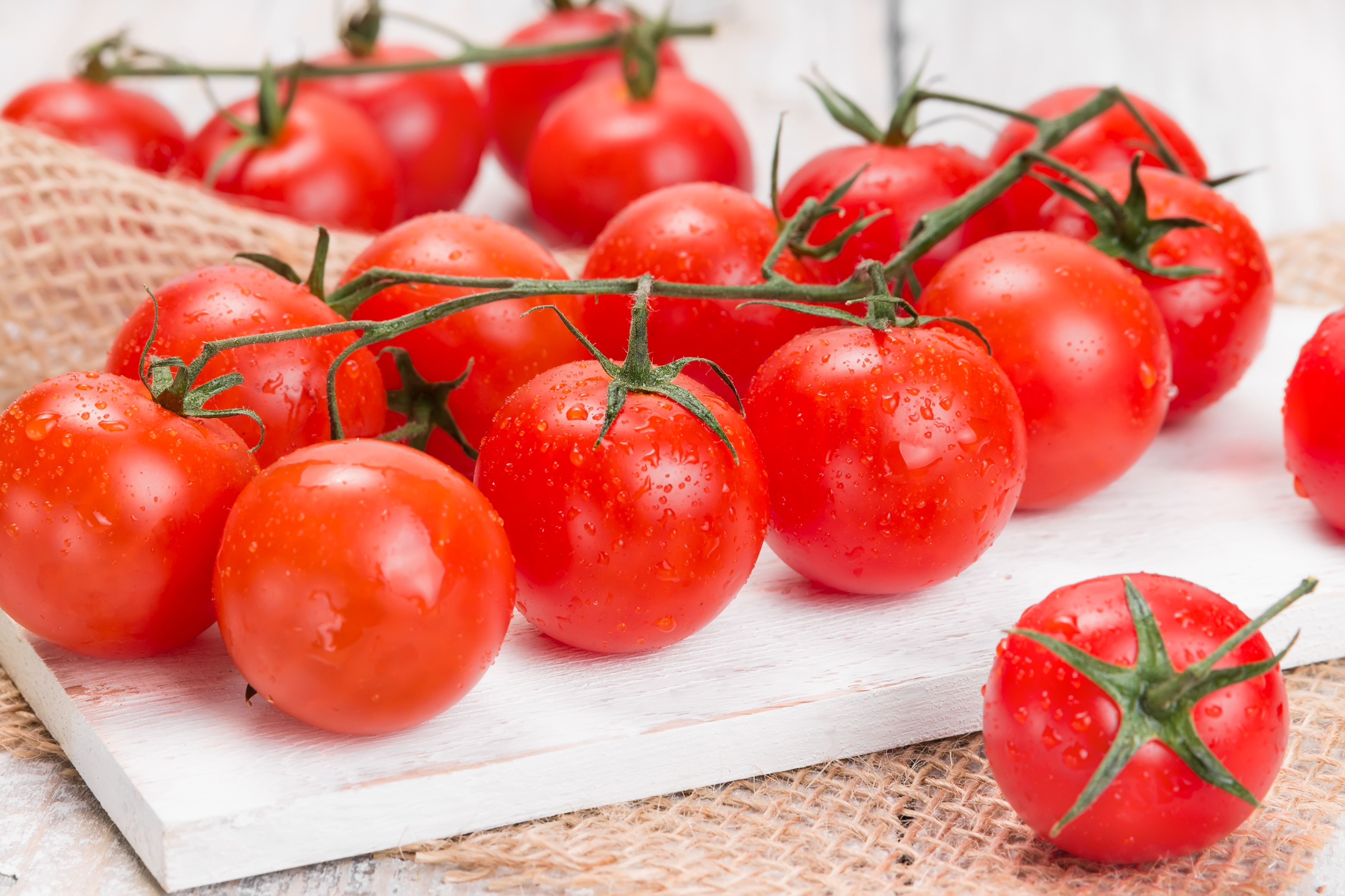 Rosiile cherry incep sa impinga din farfurie tomatele traditionale. Avantajele care i-au incantat pe agricultori
