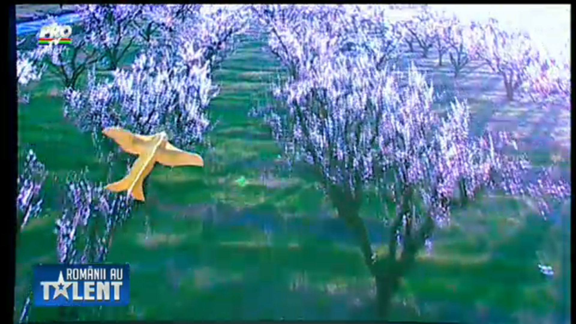 3D Sky