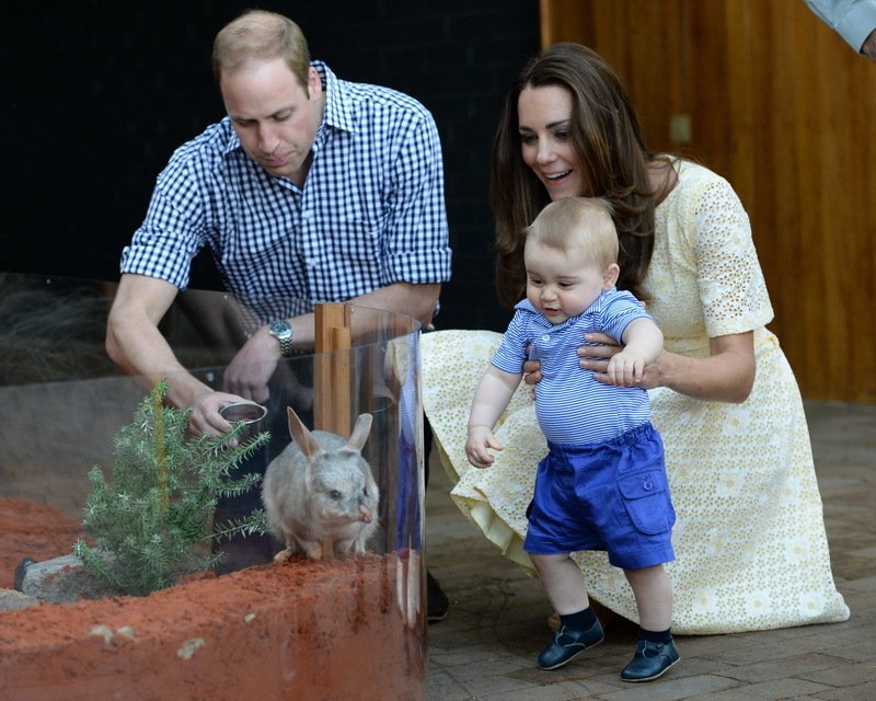 Printul George - 3