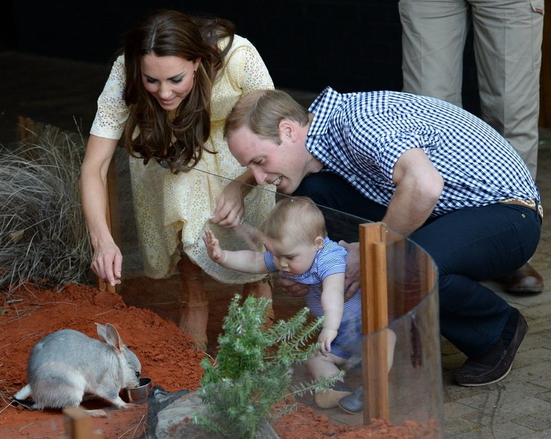 Printul George - 4