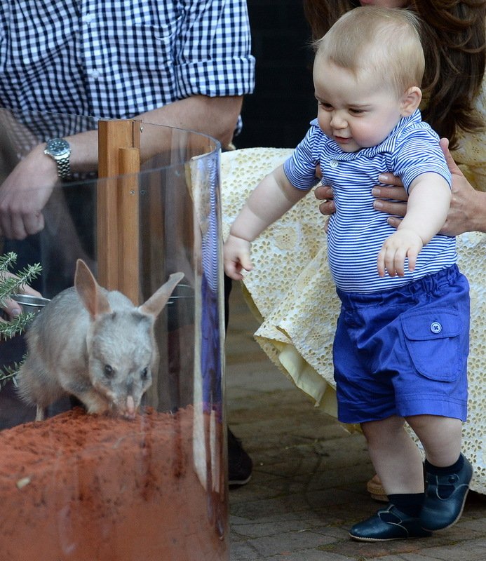 Printul George - 5