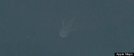 Multi credeau ca au gasit monstrul din Loch Ness. Ce se vede de fapt in aceasta fotografie