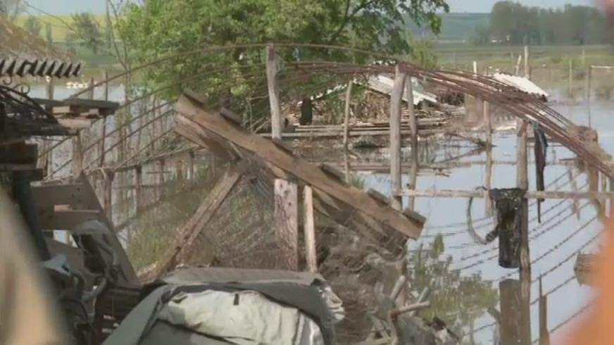 Victor Ponta si Liviu Dragnea - 4