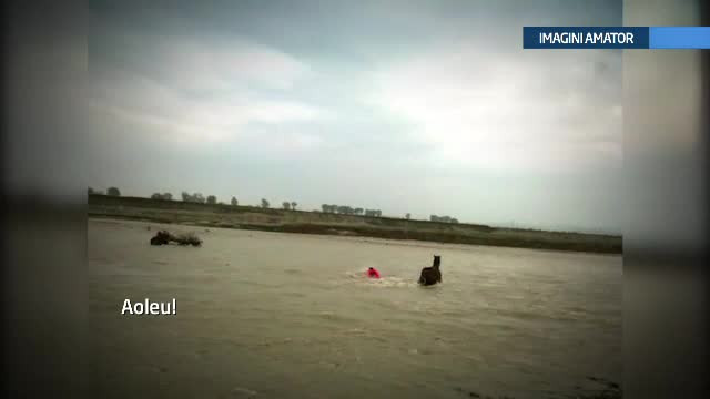 Inundatiile au dus la un dezastru in Prahova si Olt. Cum s-a desfasurat o operatiune in care salvatorii au devenit sinistrati