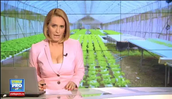 Romanii au descoperit agricultura hidroponica. Ce presupune metoda care i-a facut pe tarani sa se cruceasca