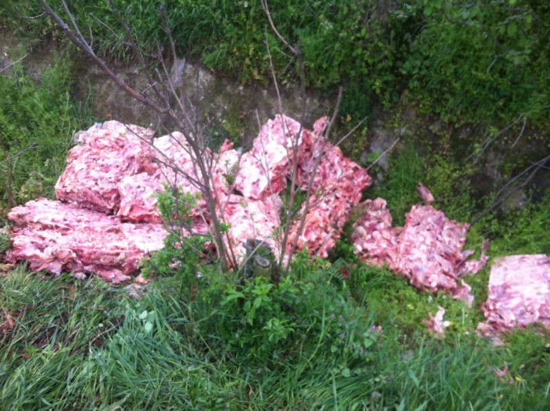 Aproximativ 200 de kilograme de resturi de carne de pui, abandonate intr-un canal de langa Timisoara
