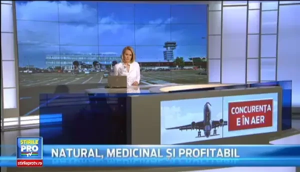 Companiile low cost vor duce Aeroportul Henri Coanda la un numar record de calatori. Ce mai inseamna un bilet ieftin in 2014