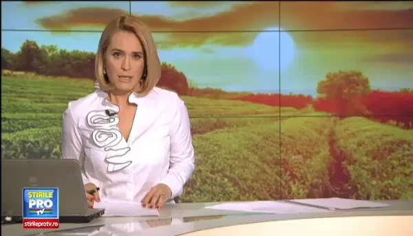 Profitul si sanatatea merg mana-n mana in cazul plantelor medicinale. Romania a inceput sa