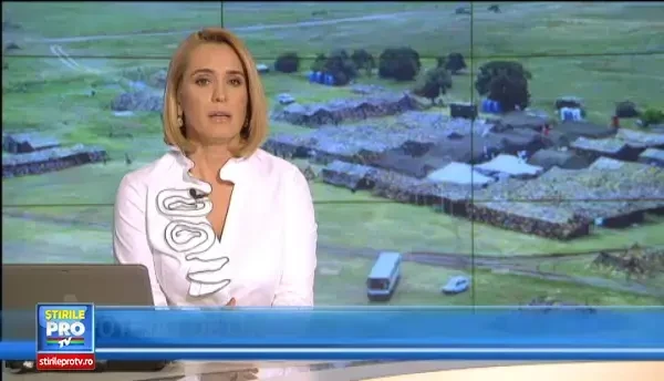 Cu Ucraina la un pas de razboi civil, Romania aloca 700 de milioane de lei in plus pentru Ministerul Apararii