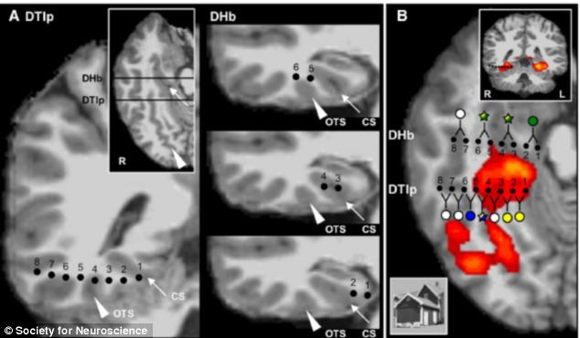 Oamenii de stiinta au reusit sa transporte un barbat "inapoi in timp". Cum a fost posibil asa ceva